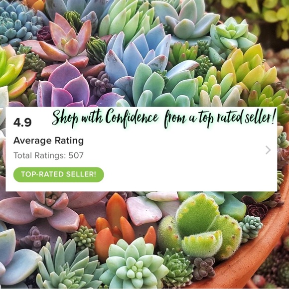 $25 MYSTERY RESELLER BOX - Picture 5 of 8